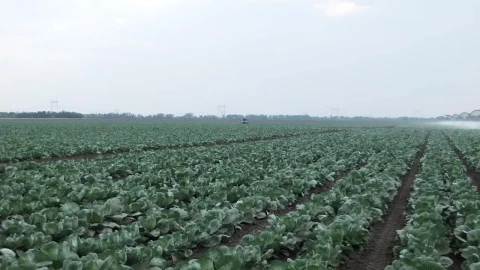 Stock Footage Watering Large Crop Fields Live Wallpaper - Free Live Wallpaper