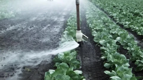 Stock Footage Watering An Agricultural Field Live Wallpaper - Free Live Wallpaper