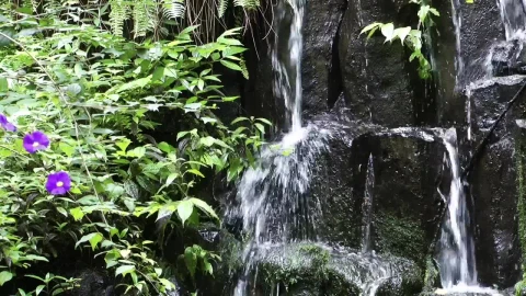 Stock Footage Waterfall On The Rocks In Nature Live Wallpaper - Free Live Wallpaper