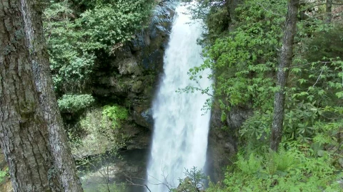 Stock Footage Waterfall In The Woods Live Wallpaper - Free Live Wallpaper