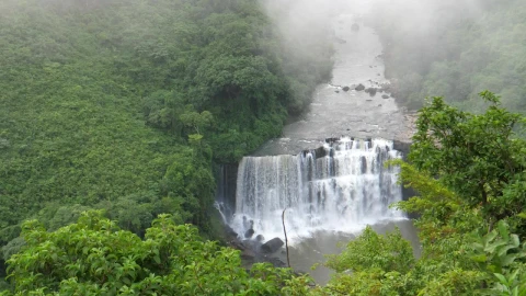 Stock Footage Waterfall In The Middle Of The Jungle In Africa Live Wallpaper - Free Live Wallpaper