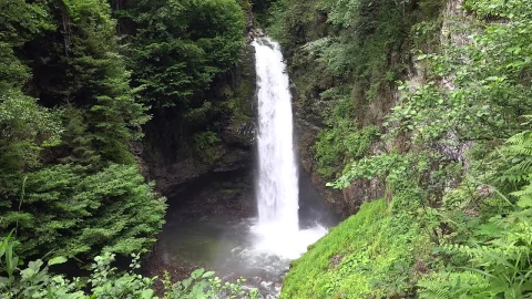 Stock Footage Waterfall In The Middle Of The Forest Live Wallpaper - Free Live Wallpaper