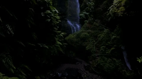 Stock Footage Waterfall In The Jungle Live Wallpaper - Free Live Wallpaper