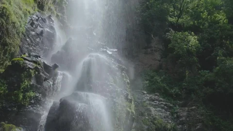 Stock Footage Waterfall In Forest Live Wallpaper - Free Live Wallpaper