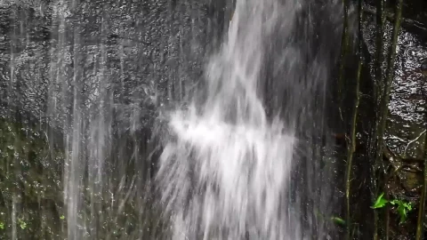 Stock Footage Waterfall In A Public Garden Live Wallpaper - Free Live Wallpaper