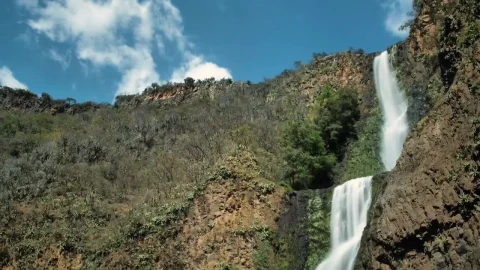 Stock Footage Waterfall In A Forest Live Wallpaper - Free Live Wallpaper