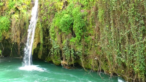 Stock Footage Waterfall In A Covered Cenote Vegetation Live Wallpaper - Free Live Wallpaper