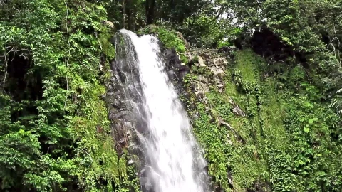 Stock Footage Waterfall At The Edge Of A Forest Live Wallpaper - Free Live Wallpaper