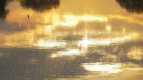 Stock Footage Water With Yellow Sunset Reflection Live Wallpaper - Free Live Wallpaper