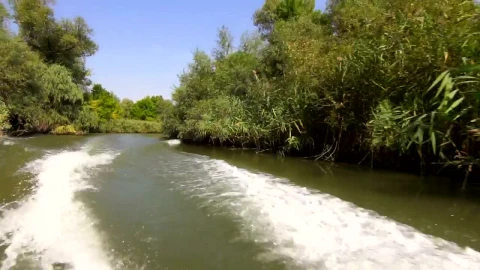 Stock Footage Water Trail Of Speed Boat Live Wallpaper - Free Live Wallpaper