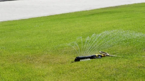 Stock Footage Water Sprinkler In A Public Park Live Wallpaper - Free Live Wallpaper