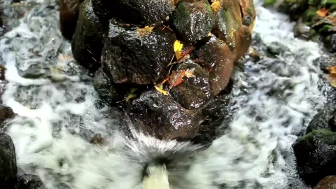 Stock Footage Water Rushing Between Stones Live Wallpaper - Free Live Wallpaper