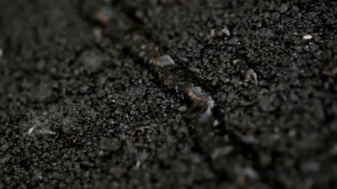 Stock Footage Water Running On The Road Surface Live Wallpaper - Free Live Wallpaper