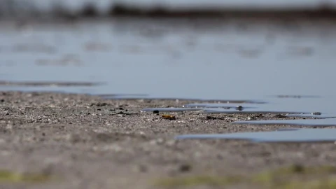 Stock Footage Water Rising In The Ground Live Wallpaper - Free Live Wallpaper