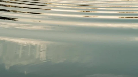 Stock Footage Water Ripples Live Wallpaper - Free Live Wallpaper