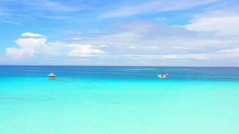 Stock Footage Water Plane Floating In The Turquoise Sea Live Wallpaper - Free Live Wallpaper