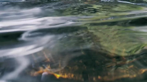 Stock Footage Water In A Creek Live Wallpaper - Free Live Wallpaper