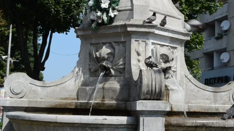 Stock Footage Water Fountain With Birds Live Wallpaper - Free Live Wallpaper