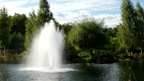 Stock Footage Water Fountain Blowing In The Wind Live Wallpaper - Free Live Wallpaper