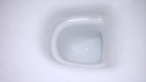 Stock Footage Water Flushing Down A Toilet Live Wallpaper - Free Live Wallpaper