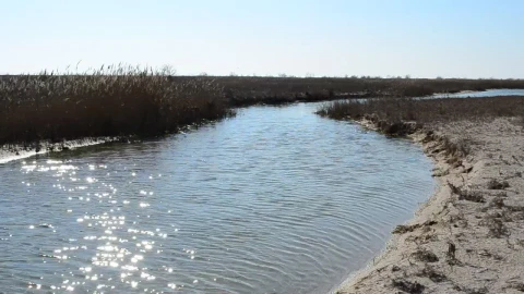Stock Footage Water Flowing Towards The Ocean Live Wallpaper - Free Live Wallpaper