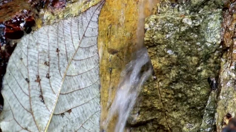 Stock Footage Water Flowing Through A Rock Live Wallpaper - Free Live Wallpaper