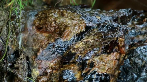 Stock Footage Water Flowing Over Muddy Rocks Live Wallpaper - Free Live Wallpaper