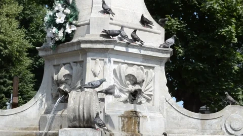 Stock Footage Water Flowing From A Fountain Live Wallpaper - Free Live Wallpaper