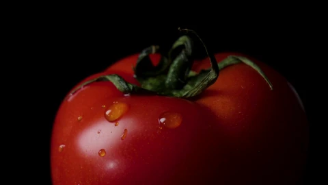 Stock Footage Water Drops On A Tomato Live Wallpaper - Free Live Wallpaper