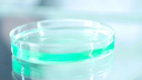 Stock Footage Water Dropper On The Lab Live Wallpaper - Free Live Wallpaper
