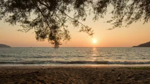 Stock Footage Watching The Sunset From The Coast Live Wallpaper - Free Live Wallpaper