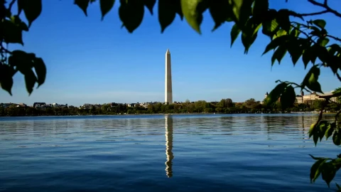 Stock Footage Washington Monument From The Trees Live Wallpaper - Free Live Wallpaper