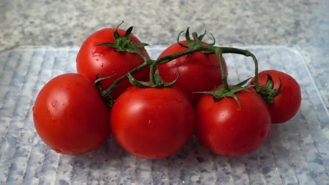 Stock Footage Washing Tomatoes Slow Motion Live Wallpaper - Free Live Wallpaper