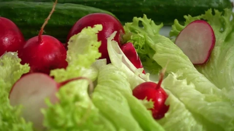 Stock Footage Washing Salad Ingredients Live Wallpaper - Free Live Wallpaper