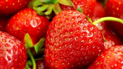 Stock Footage Washing Strawberries Close Up Live Wallpaper - Free Live Wallpaper