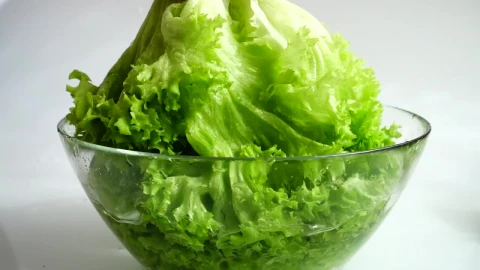 Stock Footage Washing Lettuce Before Making A Salad Live Wallpaper - Free Live Wallpaper