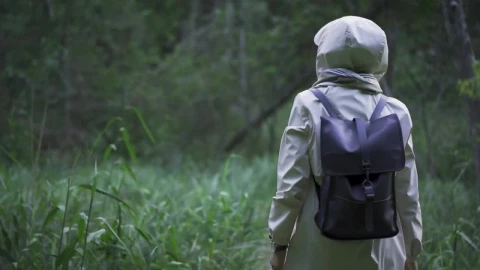Stock Footage Walking Through The Woods Live Wallpaper - Free Live Wallpaper