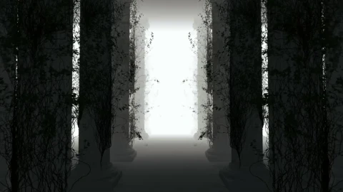 Stock Footage Walking Through A Forest With Virtual Fog D Loop Live Wallpaper - Free Live Wallpaper