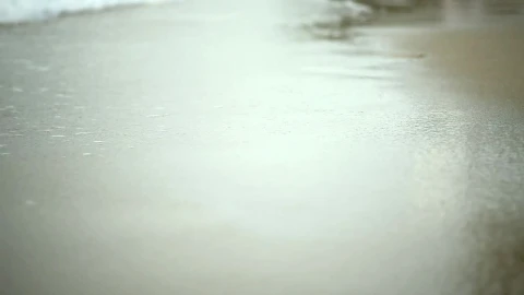 Stock Footage Walking On Wet Sand And Waves Live Wallpaper - Free Live Wallpaper