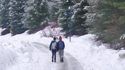 Stock Footage Walking On A Snowy Path In Canada Live Wallpaper - Free Live Wallpaper