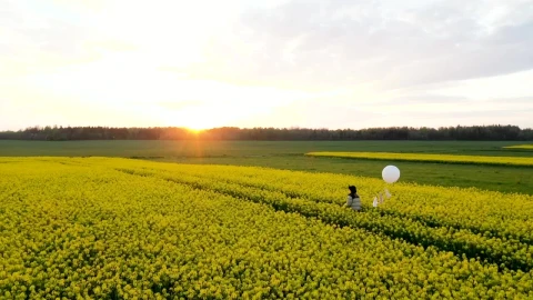 Stock Footage Walking On A Flower Field With A White Balloon Live Wallpaper - Free Live Wallpaper
