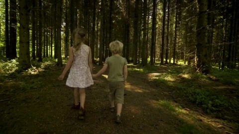 Stock Footage Walking In The Shade Live Wallpaper - Free Live Wallpaper