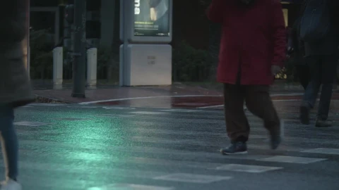 Stock Footage Walking A Dog In The Rain Live Wallpaper - Free Live Wallpaper