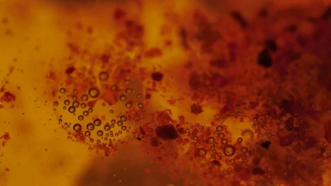 Stock Footage Viruses Absorbing Cells Live Wallpaper - Free Live Wallpaper