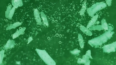 Stock Footage Viruses And Bacteria Live Wallpaper - Free Live Wallpaper