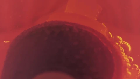 Stock Footage Virus Seen Up Close Live Wallpaper - Free Live Wallpaper