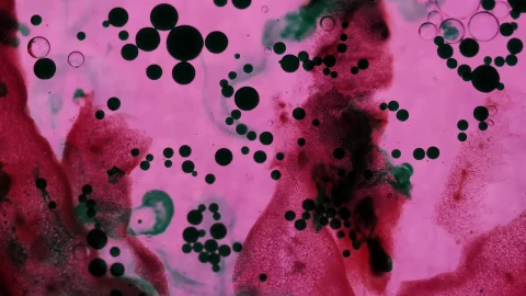 Stock Footage Virus Infected Cells Live Wallpaper - Free Live Wallpaper