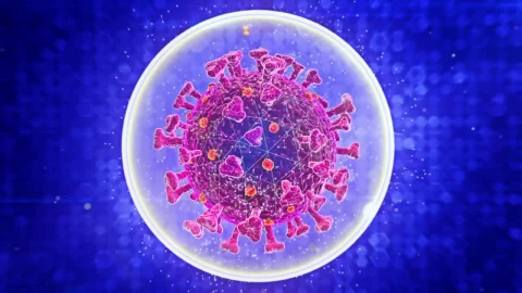 Stock Footage Virtual Representation Of A Virus Live Wallpaper - Free Live Wallpaper