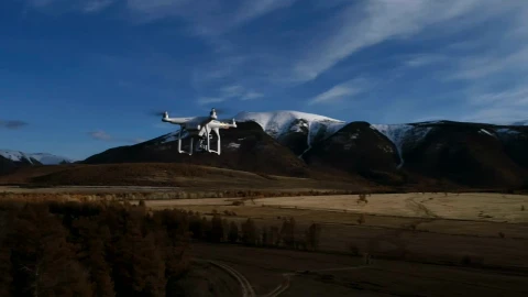 Stock Footage View Of Drone Flying Over Trees Towards Mountain Live Wallpaper - Free Live Wallpaper