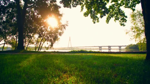Stock Footage View Of A Park While A Girl Runs Across Live Wallpaper - Free Live Wallpaper